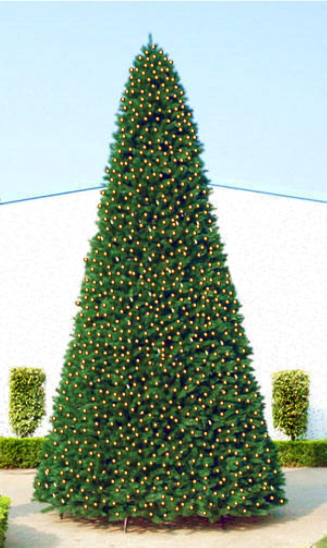  Northlight Pre-Lit Pencil Pine Artificial Christmas Tree - 15' - Clear Lights - Default Title - Bonton