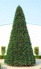 Pre-Lit Pencil Pine Artificial Christmas Tree - 15' - Clear Lights