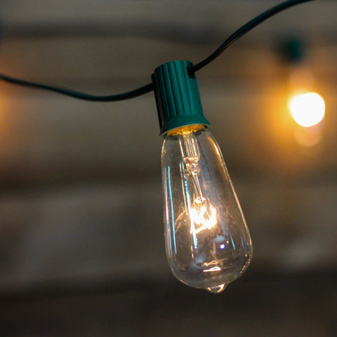 10-Count Clear Edison Glass Patio Lights  9ft Green Wire