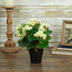 Silk Cream Begonia Faux Floral Arrangement, 11"