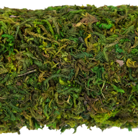 Artificial Reindeer Moss Square Spring Wreath - 13"
