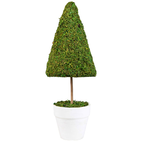 21" Green and White Reindeer Moss Potted Artificial Spring Floral Topiary Tree