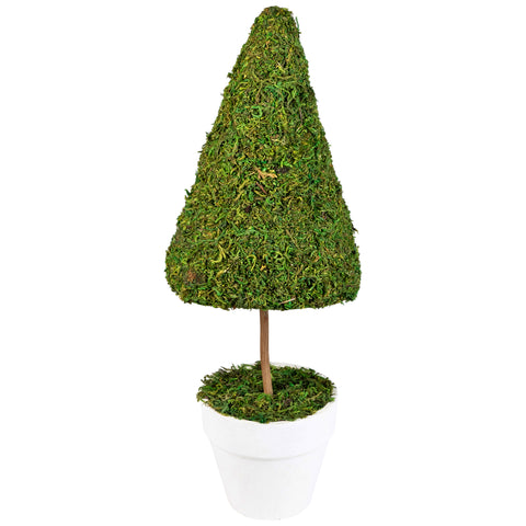 21" Green and White Reindeer Moss Potted Artificial Spring Floral Topiary Tree