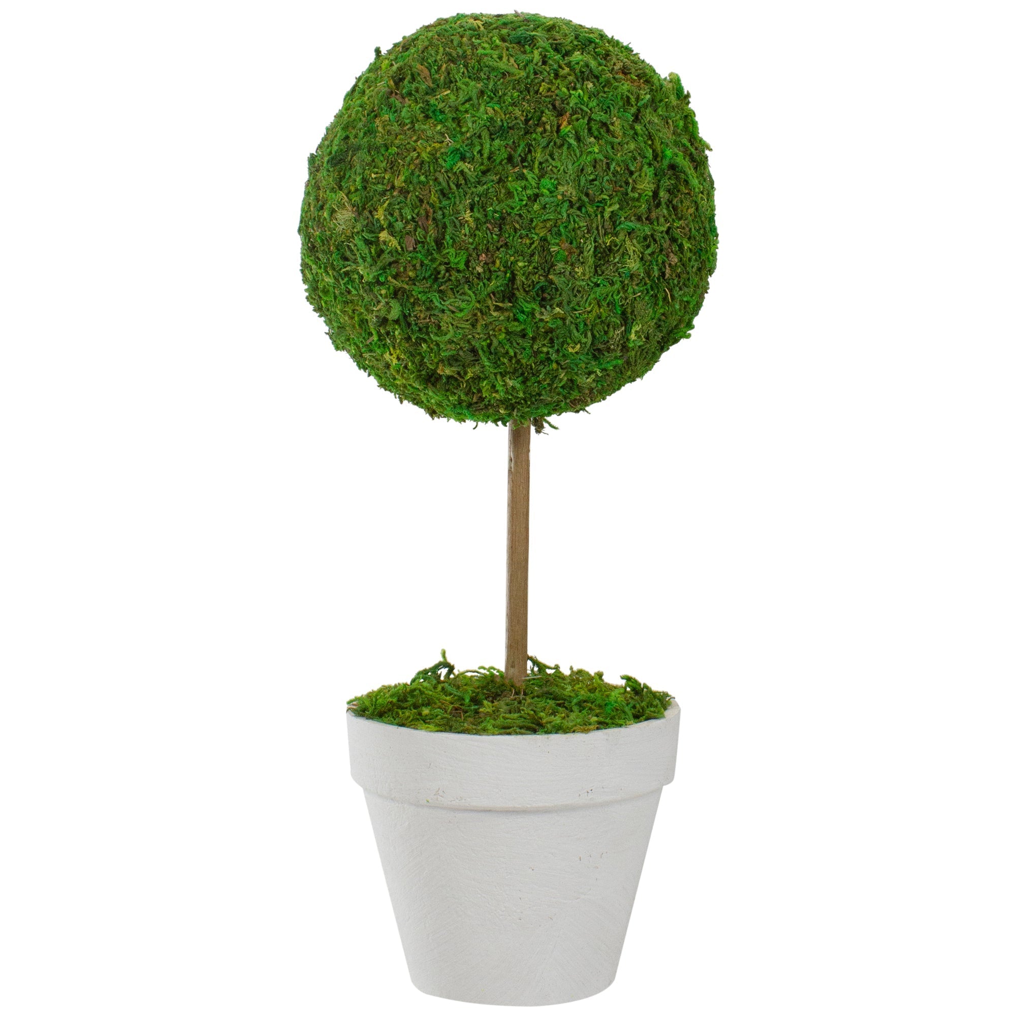  Green Reindeer Moss Ball Faux Topiary Tree, 16