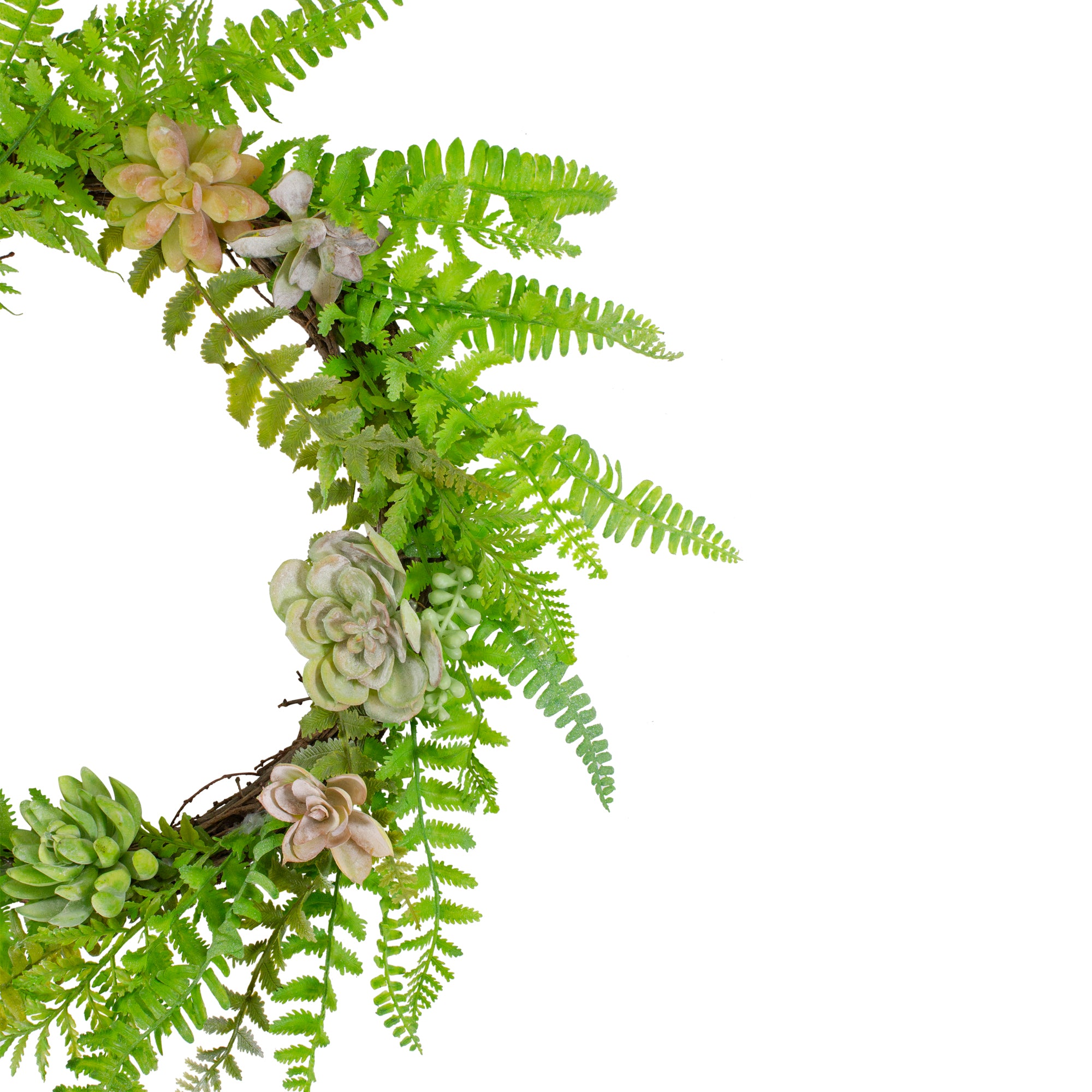  Northlight Succulents and Foliage Artificial Spring Twig Wreath  Green - 22-Inch - Default Title - Bonton
