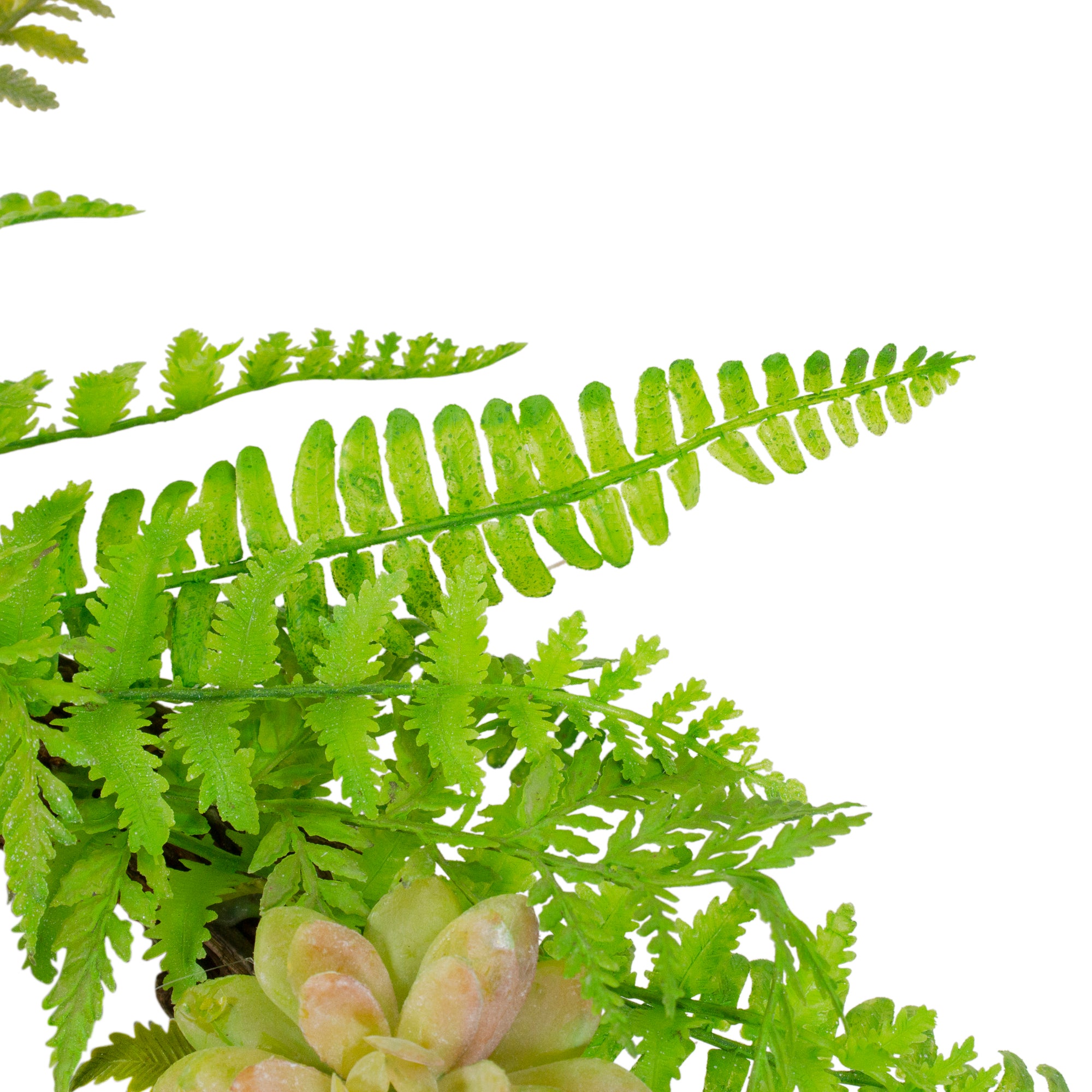  Northlight Succulents and Foliage Artificial Spring Twig Wreath  Green - 22-Inch - Default Title - Bonton
