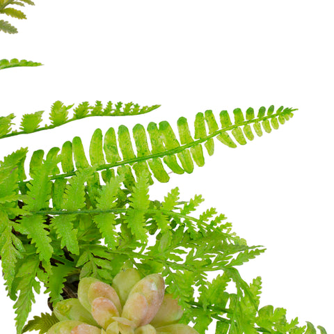 Succulents and Foliage Artificial Spring Twig Wreath  Green - 22-Inch