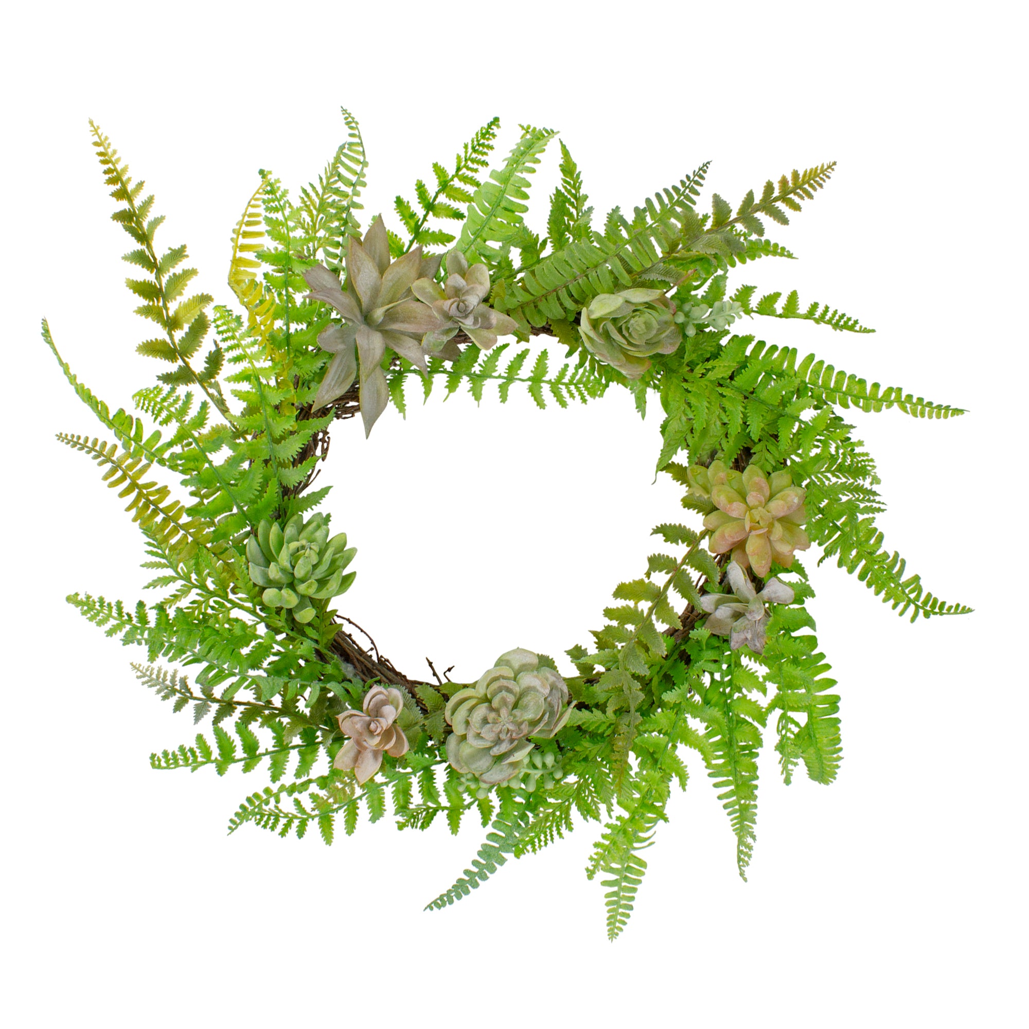  Northlight Succulents and Foliage Artificial Spring Twig Wreath  Green - 22-Inch - Default Title - Bonton