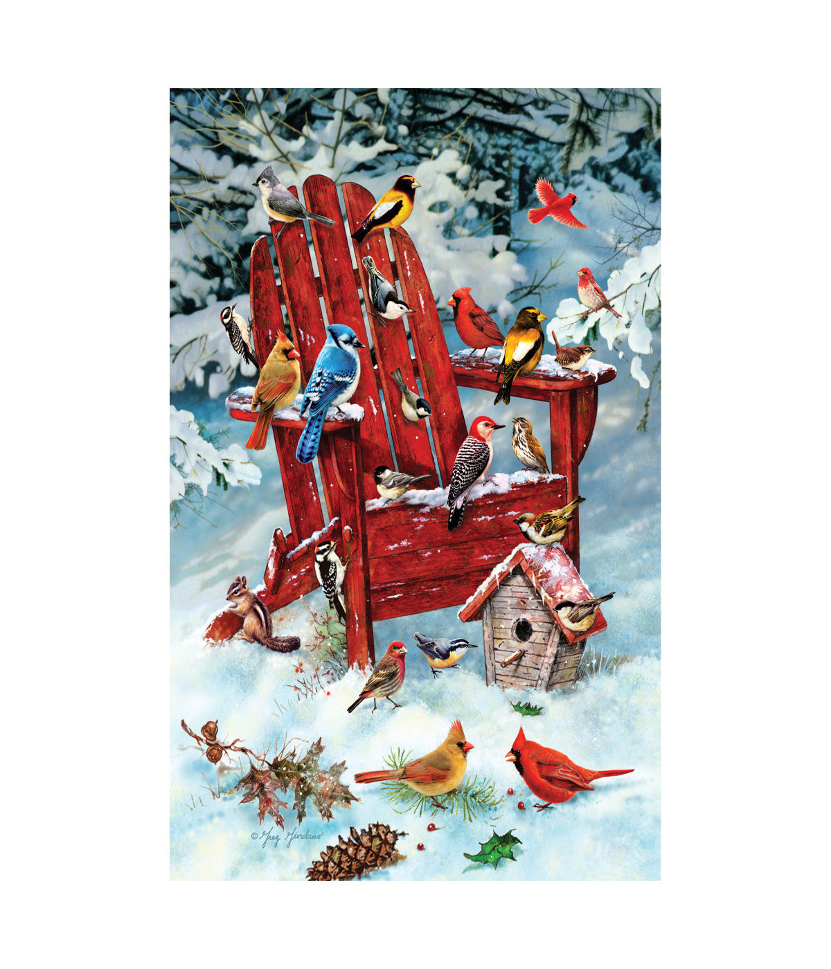  Adirondack Birds Puzzle: 1000 Pcs Multi - Multi - Bonton