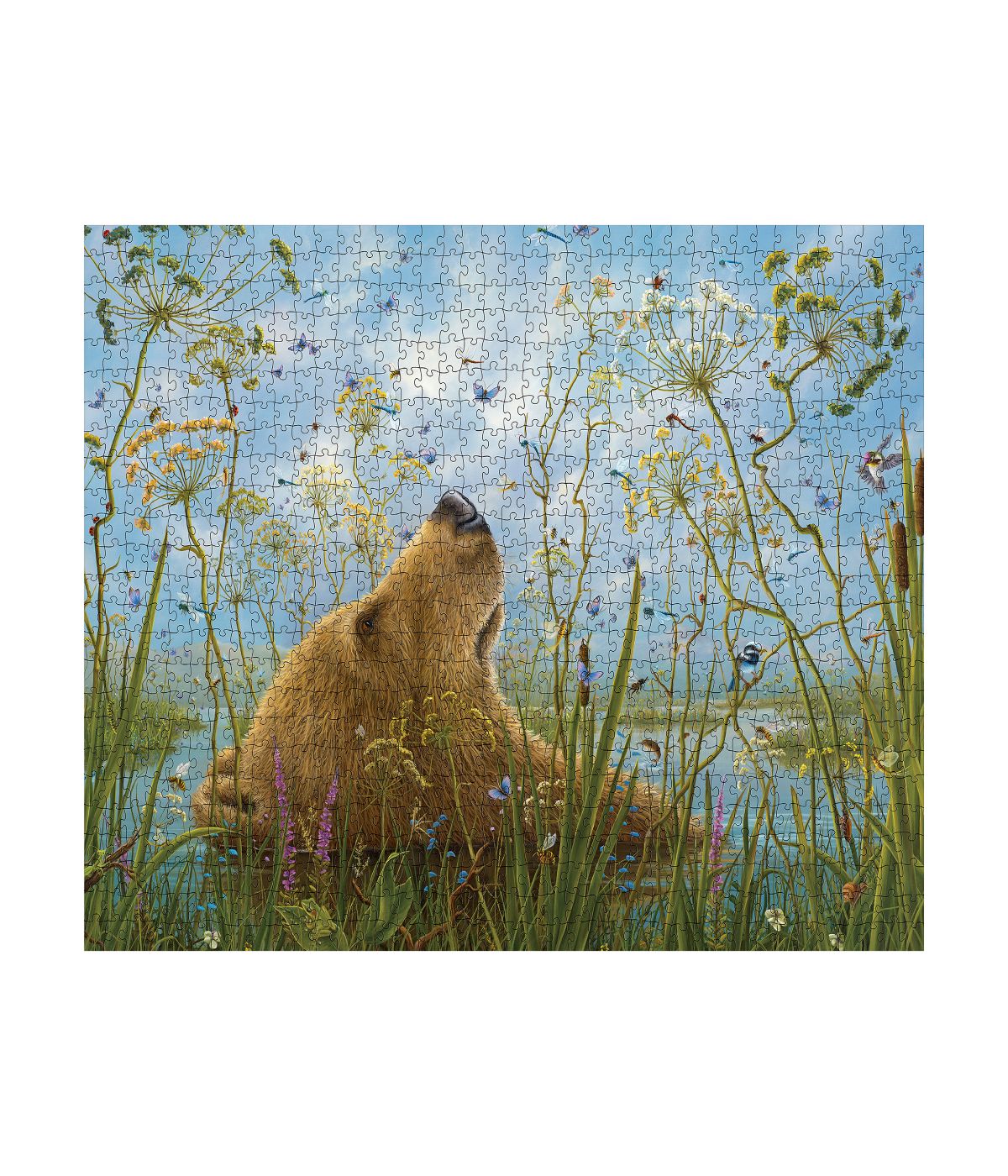  Robert Bissell - The Whole World Puzzle: 1000 Pcs Multi - Multi - Bonton