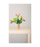 Balancing Cactus Multi