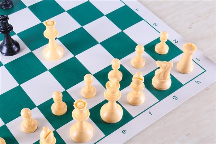  Chess House Quality Regulation Chess Set by Chess House - Default Title - Bonton