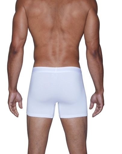  Wood Underwear Boxer Brief with Fly 3