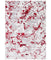 Skyler 186 Gray/Red Rug