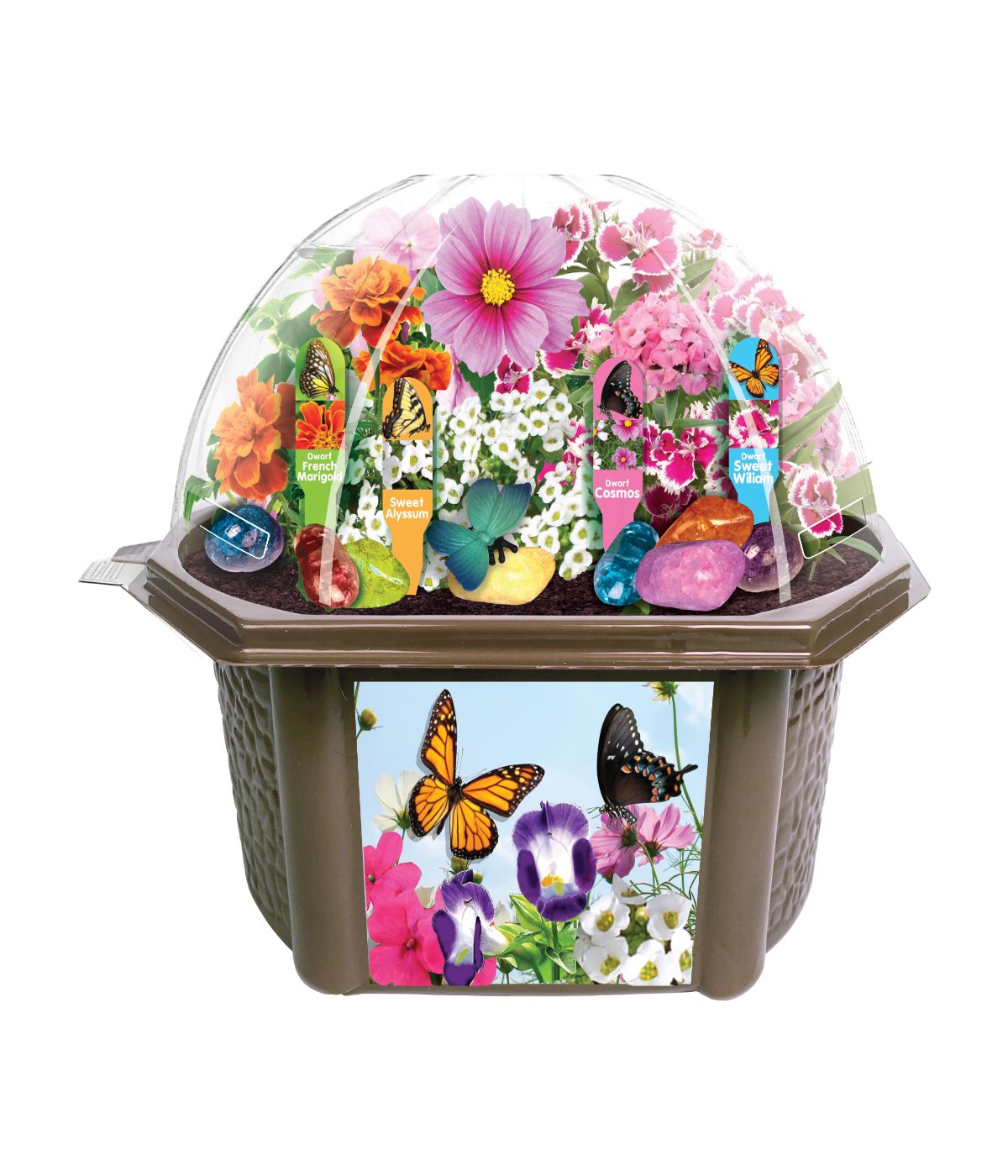  Biosphere Terrarium - Bountiful Butterfly Garden Multi - Multi - Bonton