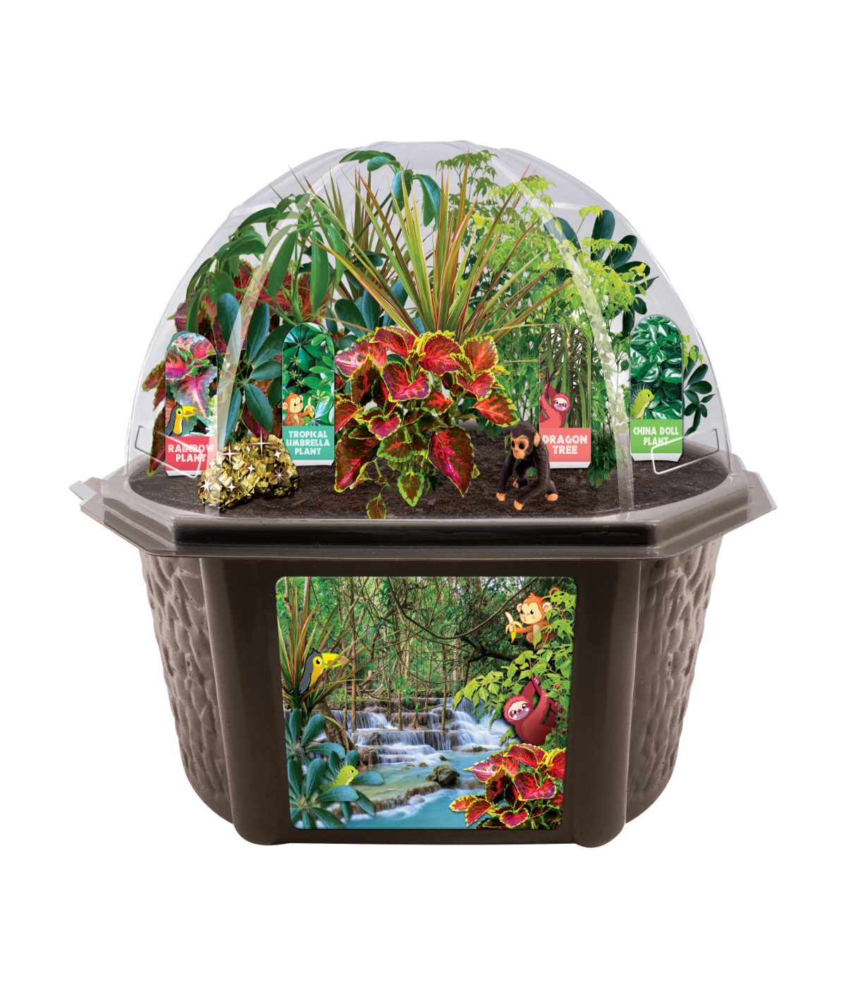  Biosphere Terrarium - Tropical Rainforest Jungle Multi - Multi - Bonton