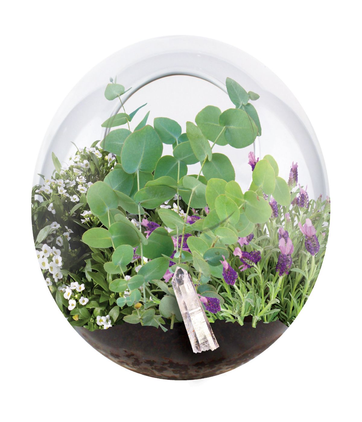  Glass Terrarium - Crystal Glass Garden Multi - Multi - Bonton