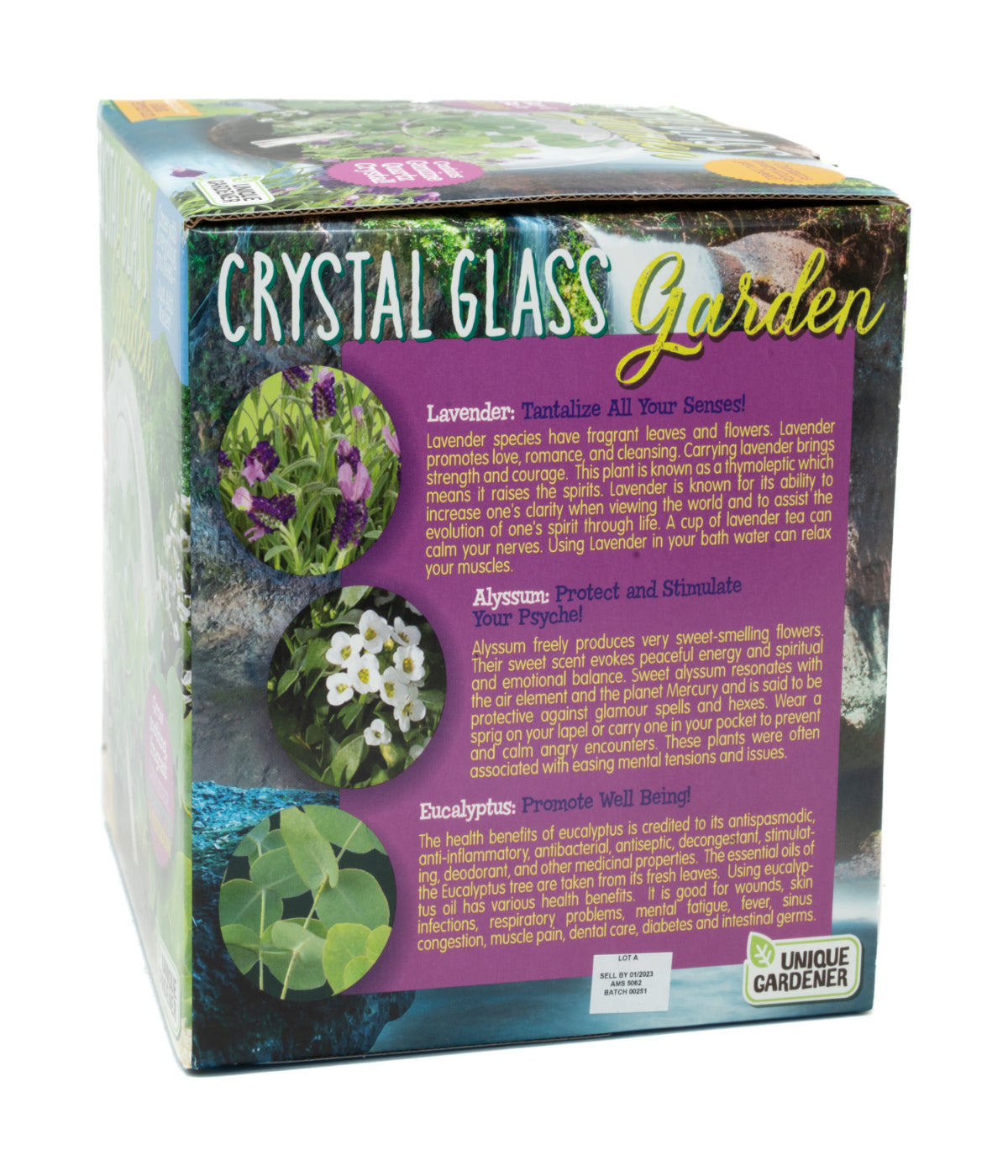  Glass Terrarium - Crystal Glass Garden Multi - Multi - Bonton