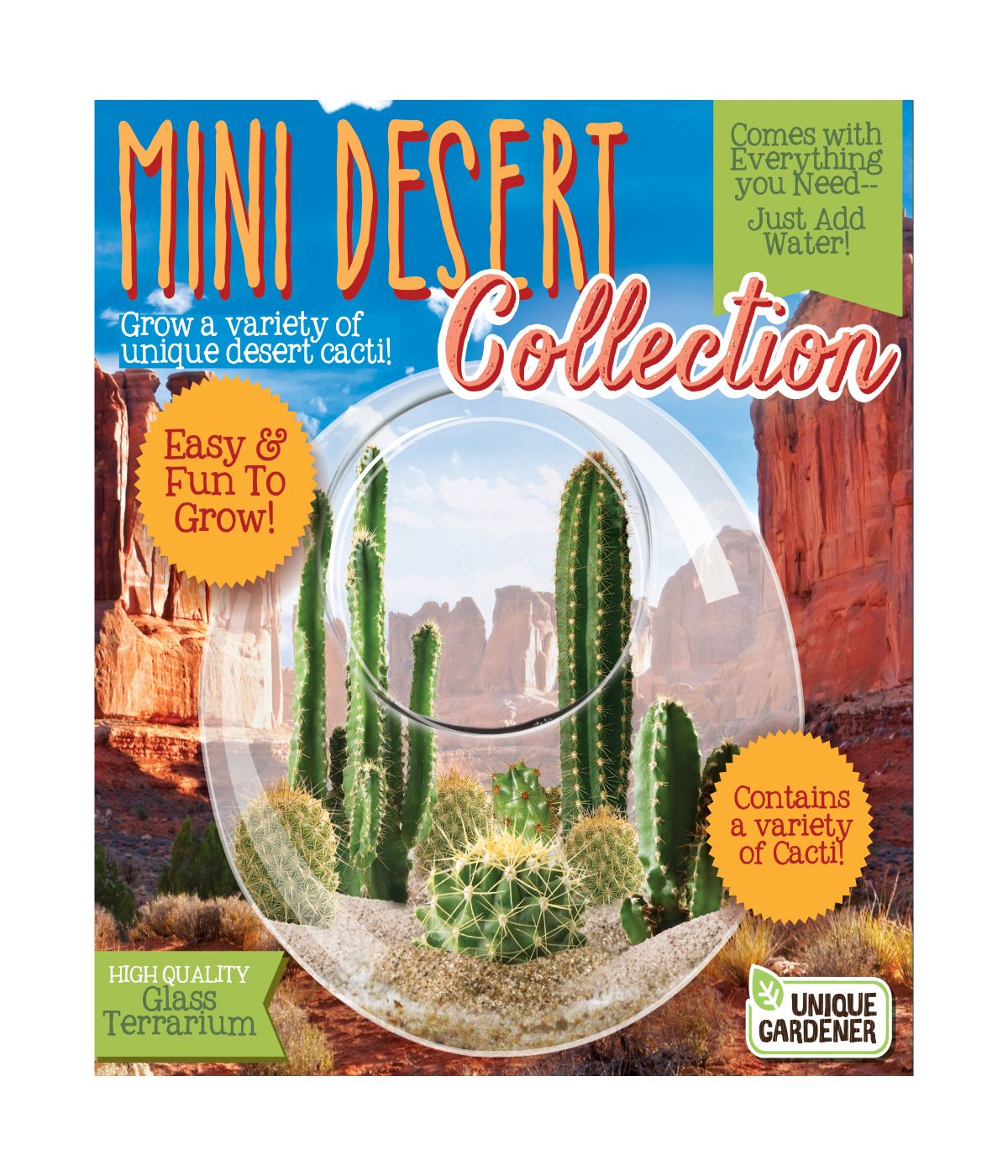  Glass Terrarium - Mini Desert Collection Multi - Multi - Bonton