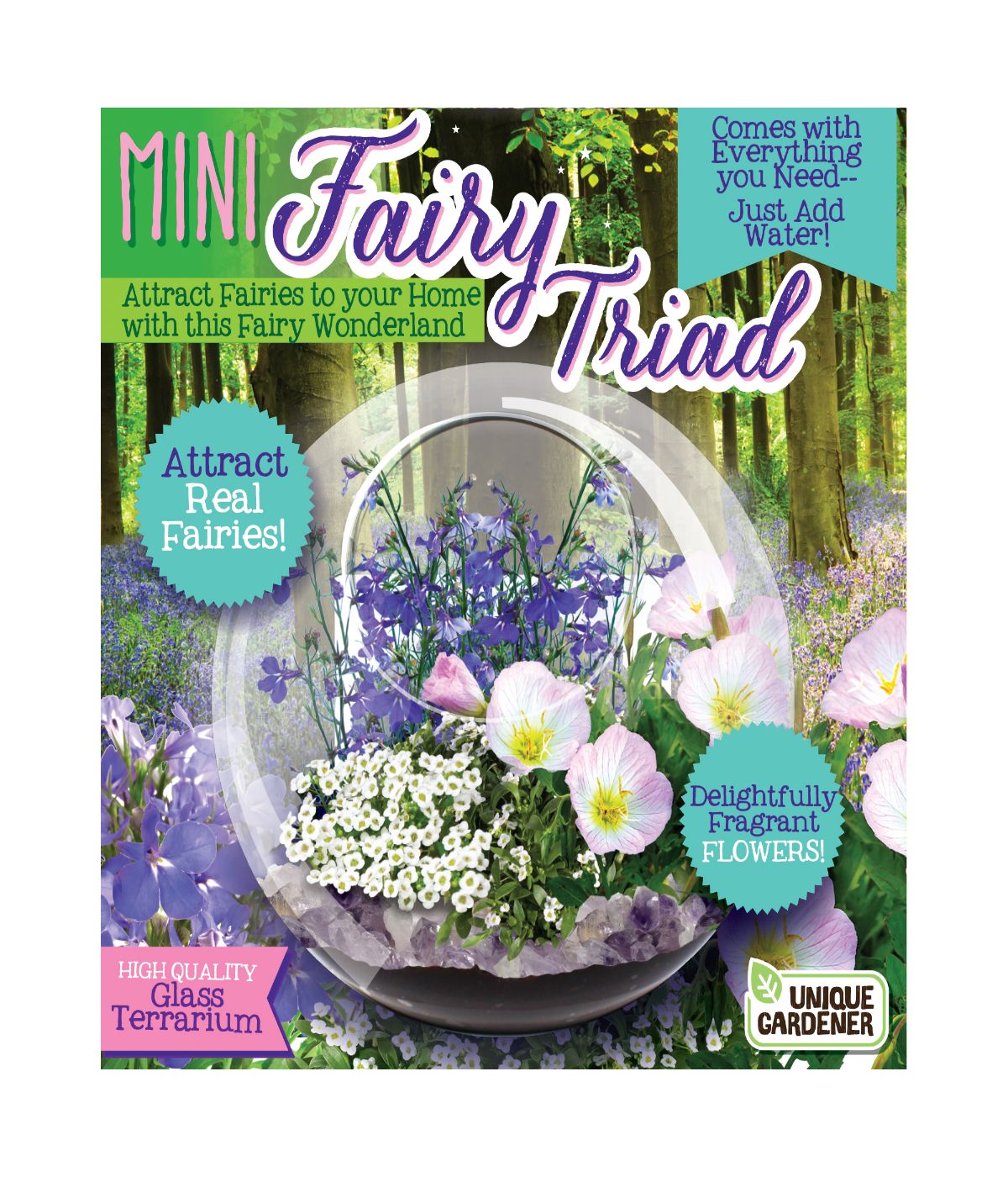  Glass Terrarium - Mini Fairy Triad Multi - Multi - Bonton