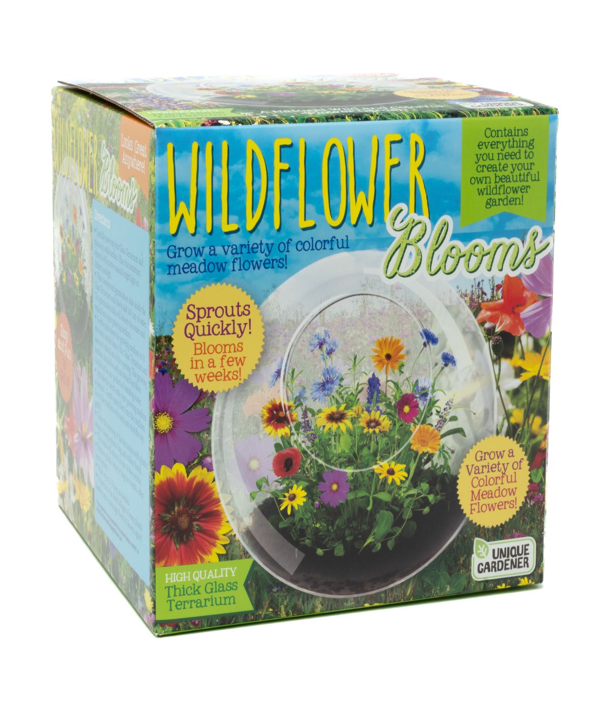  Glass Terrarium - Wildflower Blooms Multi - Multi - Bonton