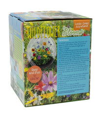 Glass Terrarium - Wildflower Blooms Multi