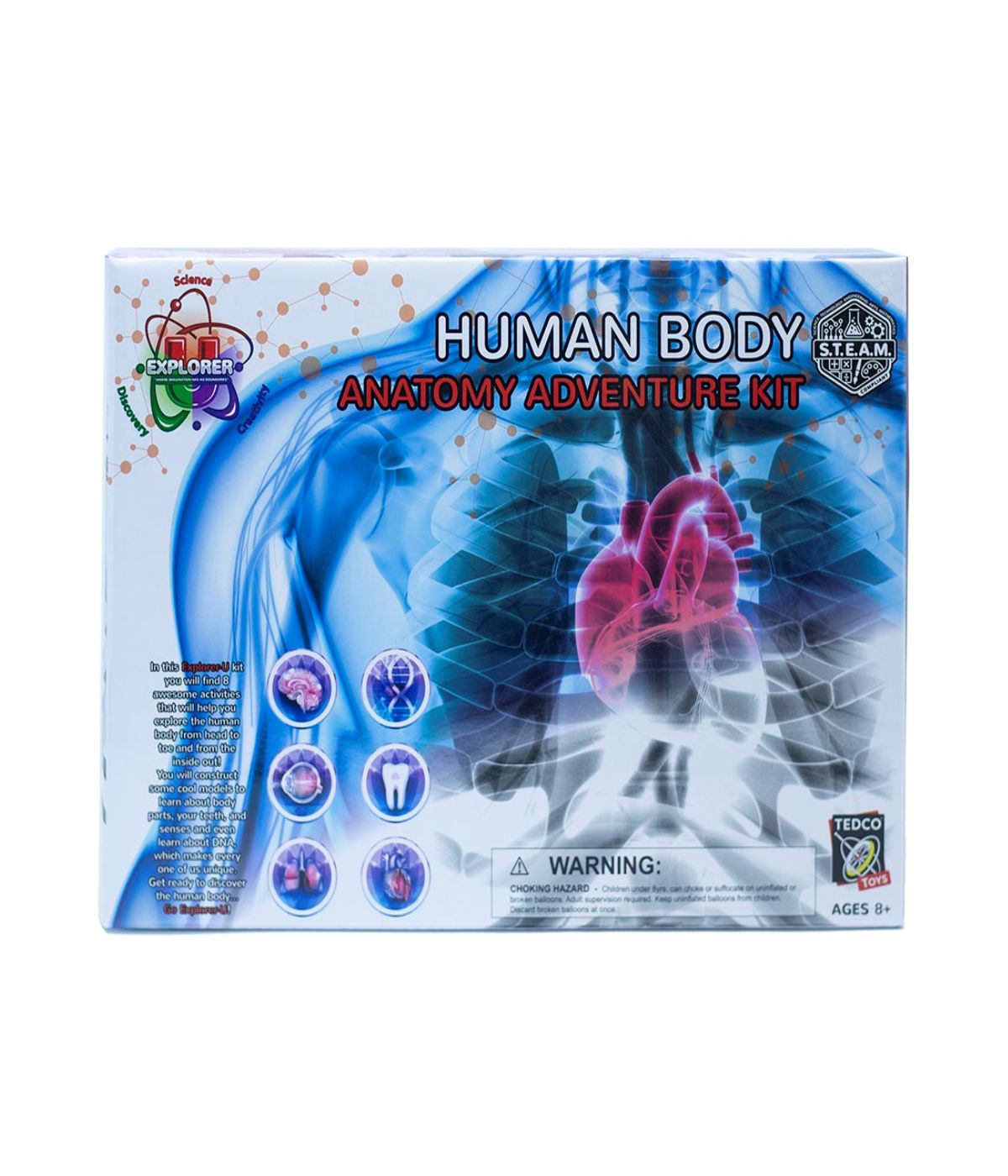  Explorer-U Human Body Anatomy Adventure Kit Multi - Multi - Bonton