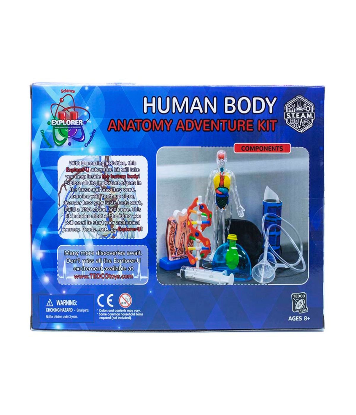  Explorer-U Human Body Anatomy Adventure Kit Multi - Multi - Bonton