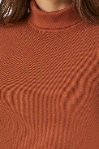 Turtleneck Mini Sweater Dress