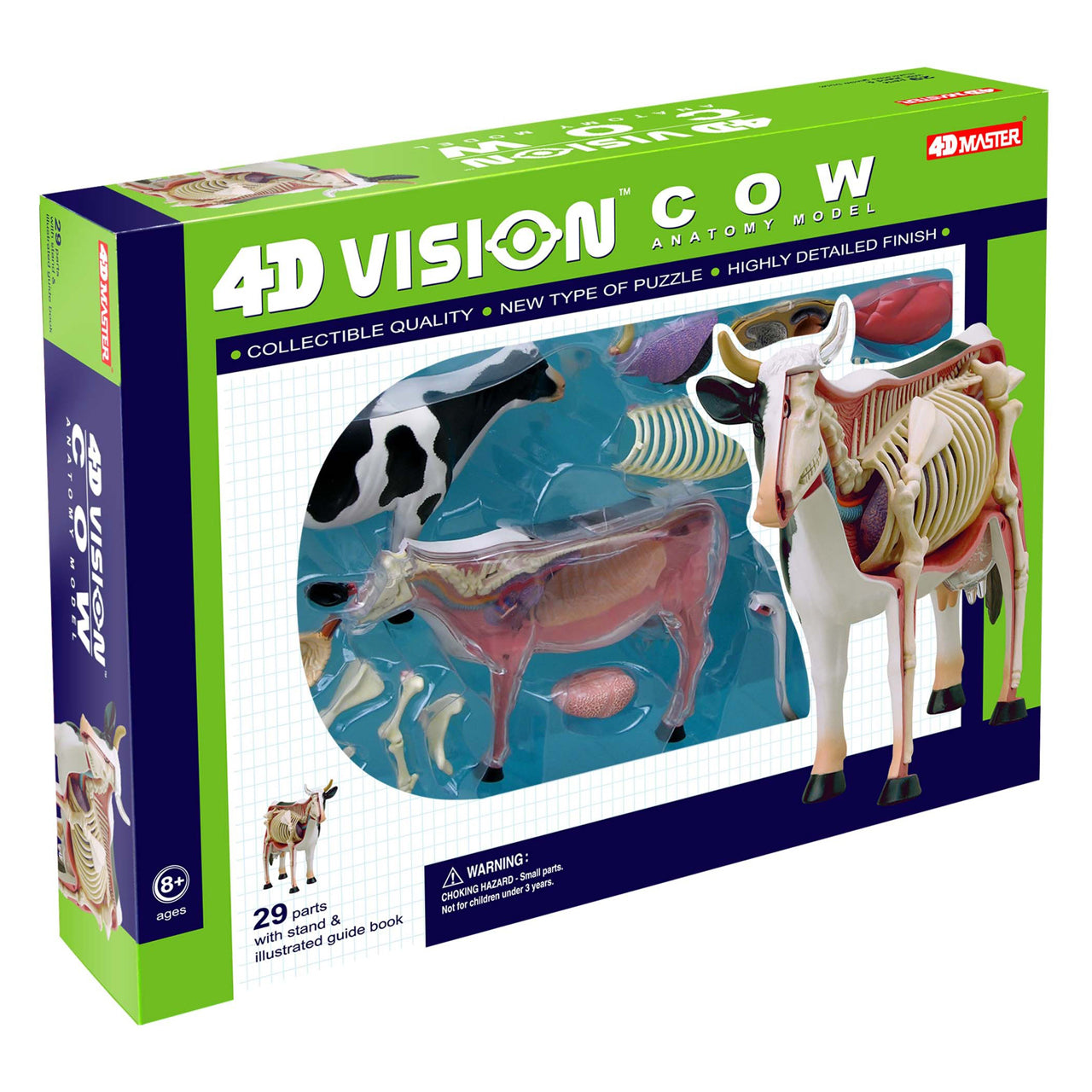  4D Vision Cow Anatomy Model - Multicolor - Bonton