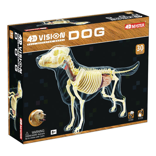 4D Vision Full Skeleton Dog Model