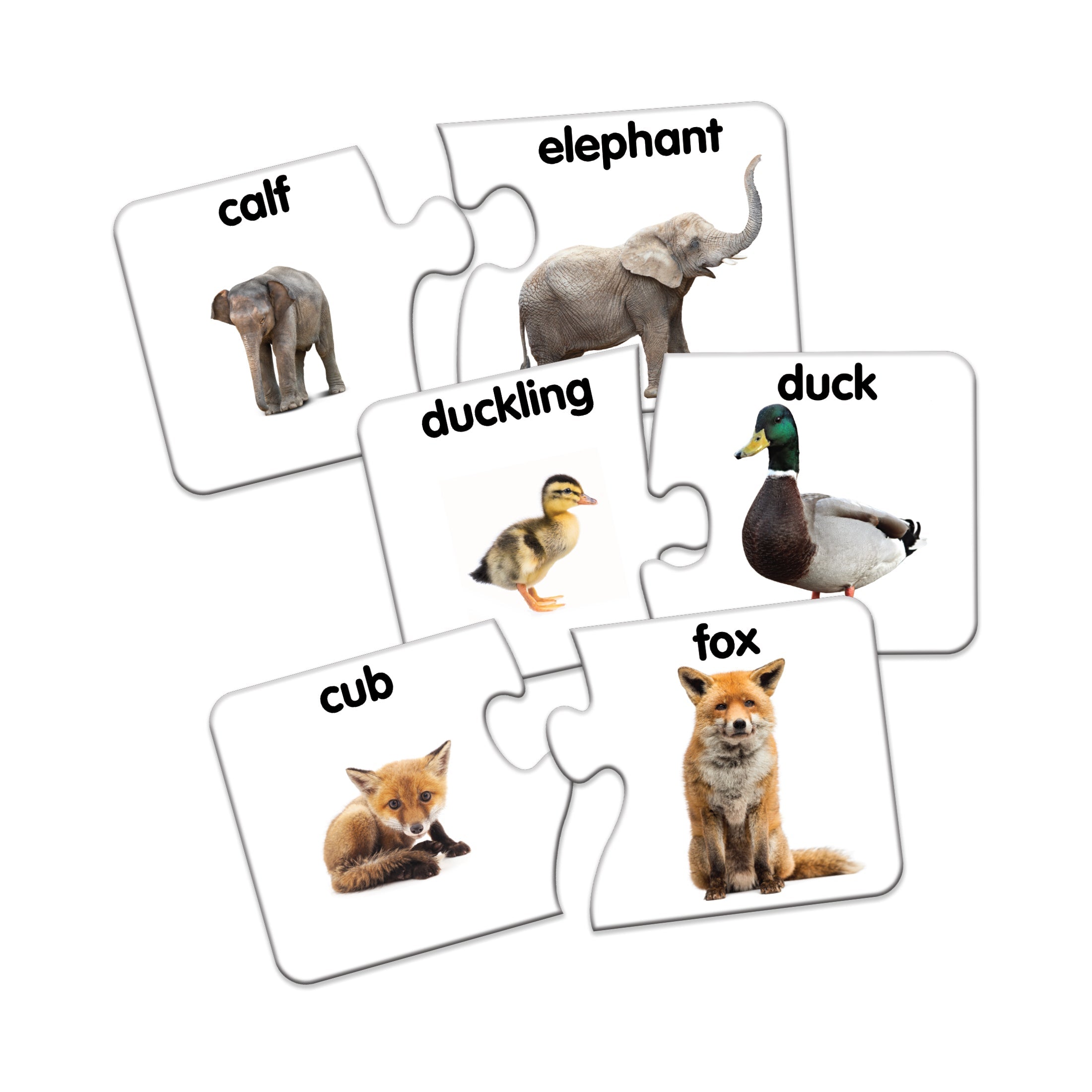  The Learning Journey Match It! - Animal Families - Multi-color - Bonton