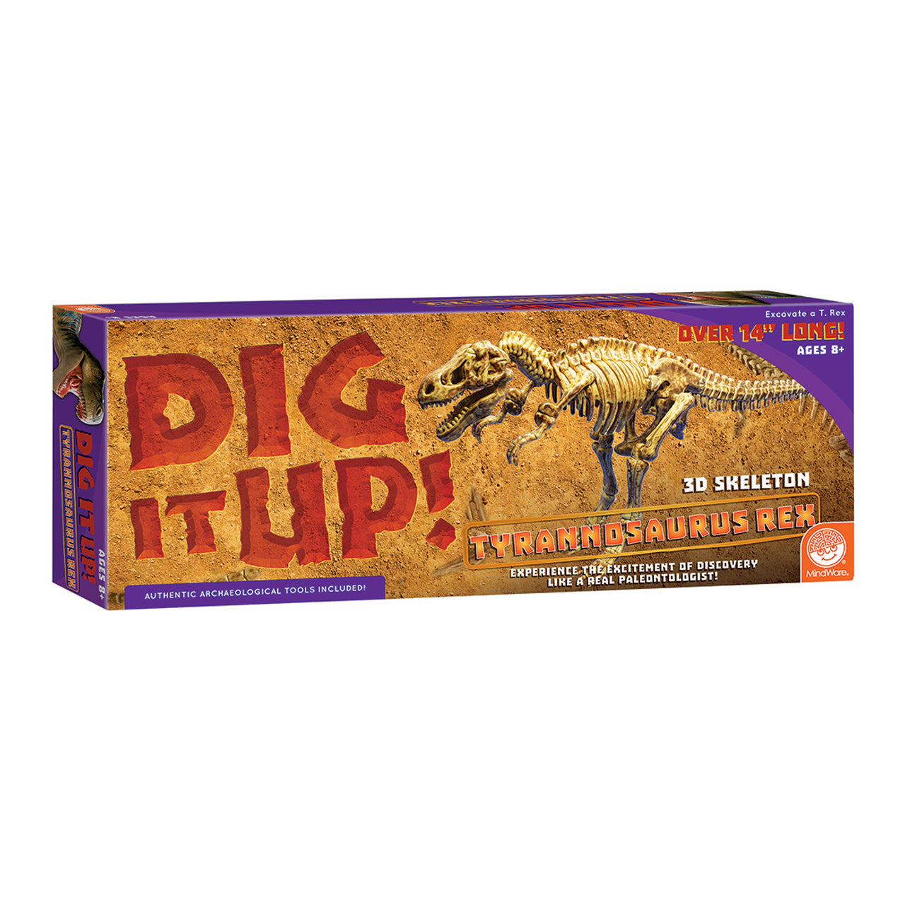  Dig It Up! - Dino Model: Tyrannosaurus Rex - Multicolor - Bonton