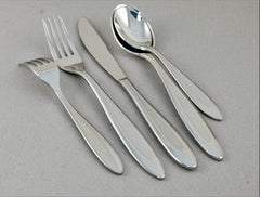 Charlie Stainless Steel Flatware 42 Piece Set