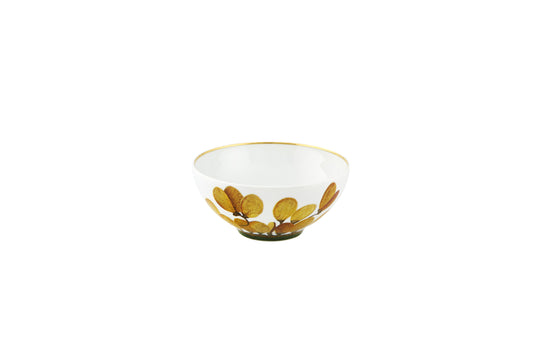 Amazonia Cereal Bowls Set of 4