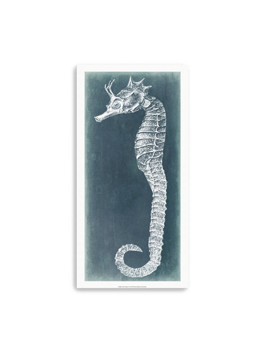 Azure Seahorse I Canvas Art Print