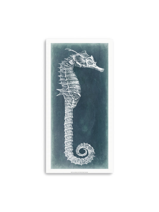 Azure Seahorse II Canvas Art Print