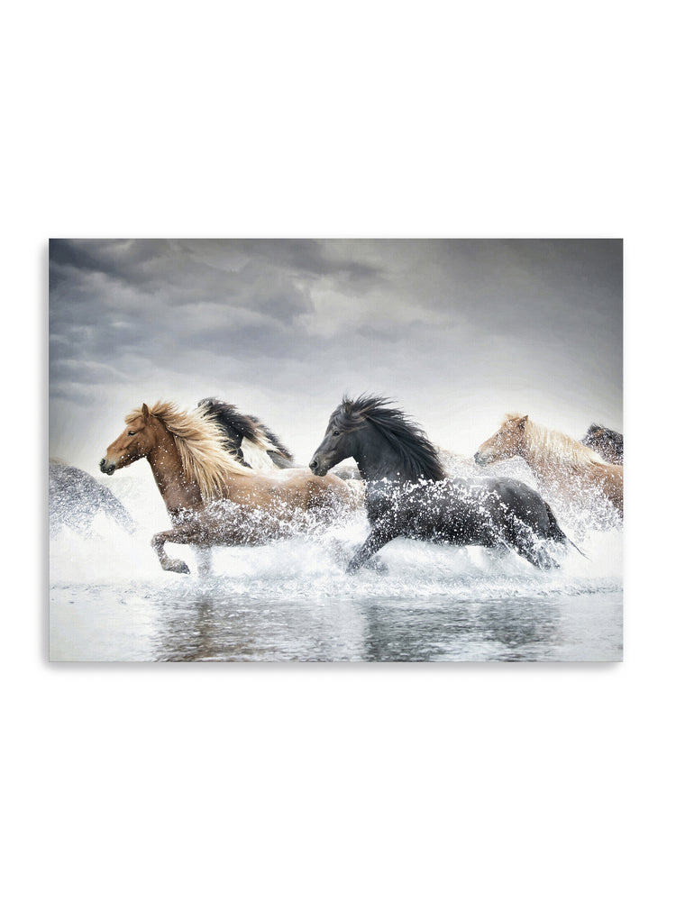 Horse Run V Canvas Art Print