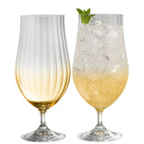 Erne Colour Craft Beer/Cocktail Glasses Set of 2