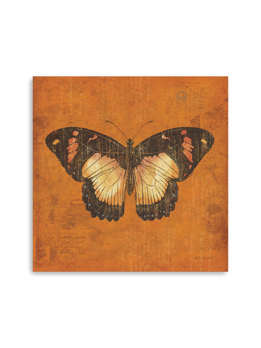 Apricot Butterfly Canvas Art Print