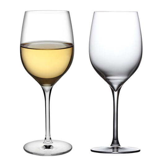 Terroir White Wine Glass Set of 2