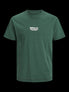 Trekking Green Swatch