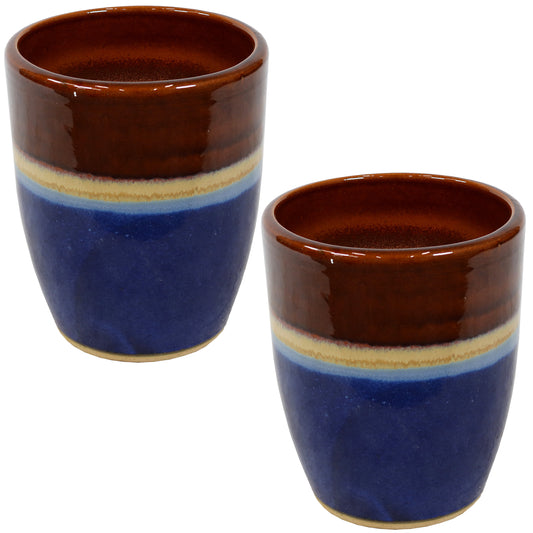 Captivating Vista Decorative Glazed Ceramic Planters 11.5" Set of 2