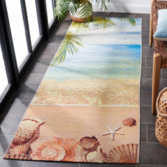 Barbados 555 Indoor / Outdoor Rug