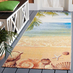 Barbados 555 Indoor / Outdoor Rug