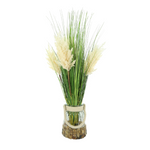 Pampas and Grass in a Glass Vase with Rocks