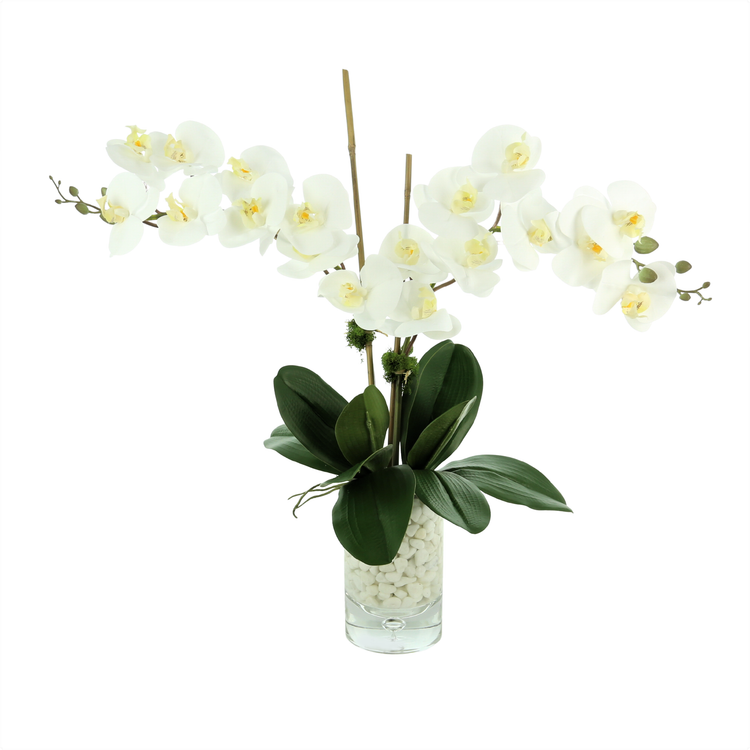 Orchid Arrangement in a Glass Vase with Rocks