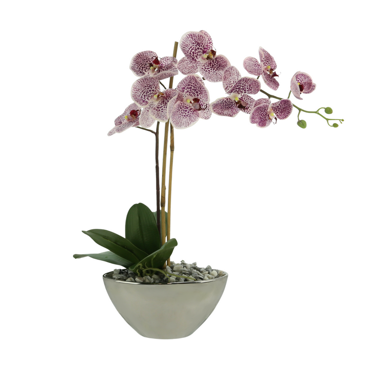 Orchid Arrangement in a Glass Vase