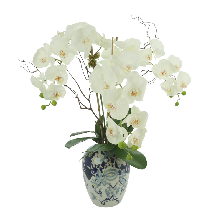 Orchids and Branches Arranged in a Ceramic Vase