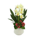Orchid and Kalanchoe in a Ceramic Pot